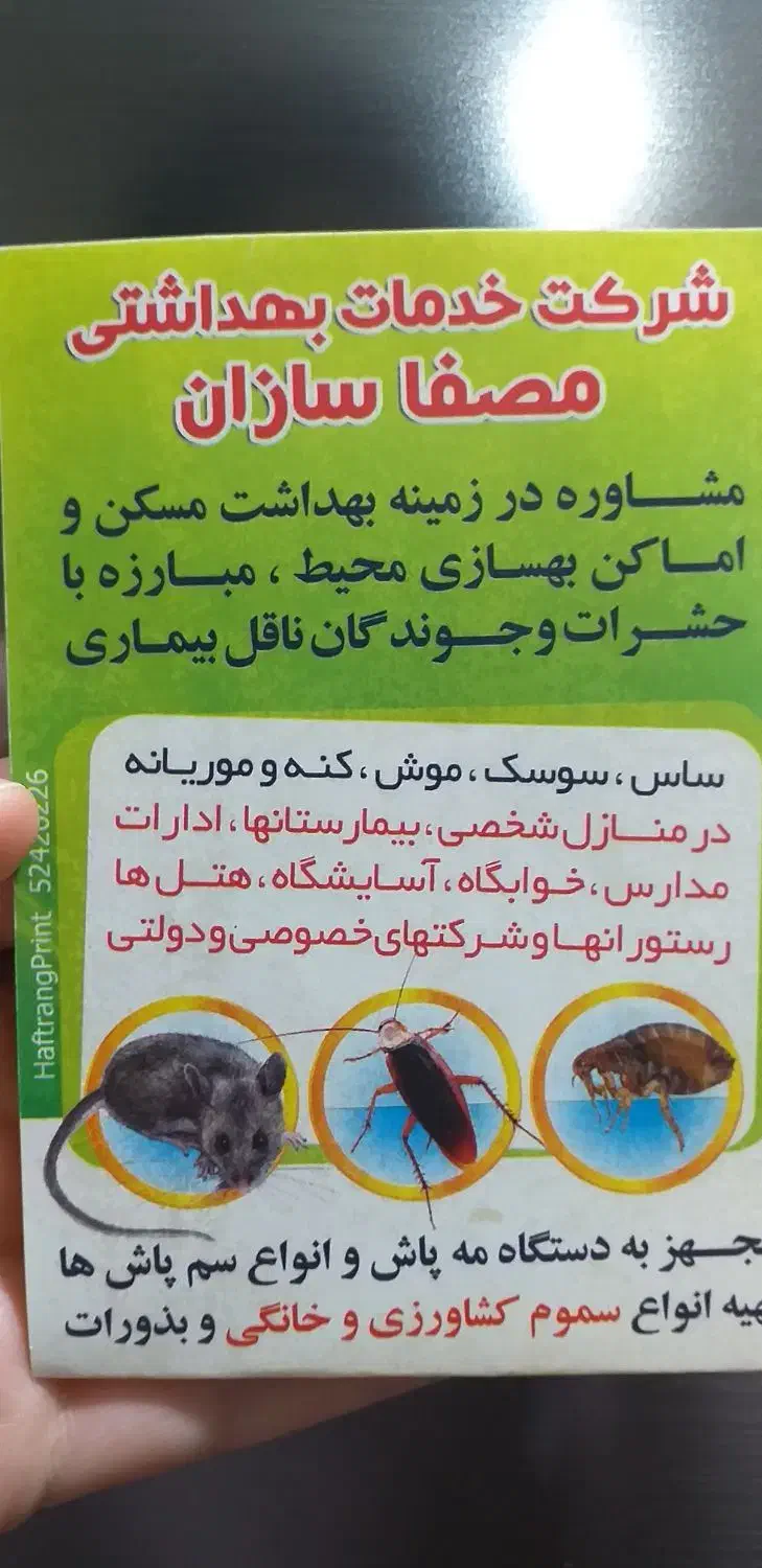 سمپاشی و موریانه زدایی|خدمات نظافت|شادگان, |دیوار