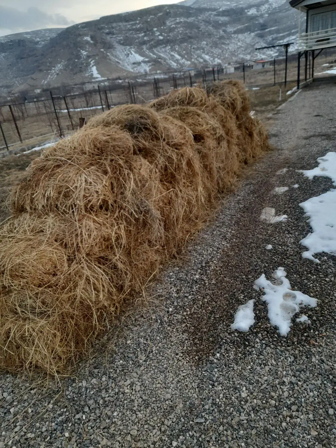 یونجه عمیش|خدمات باغبانی و درختکاری|ماکو, |دیوار