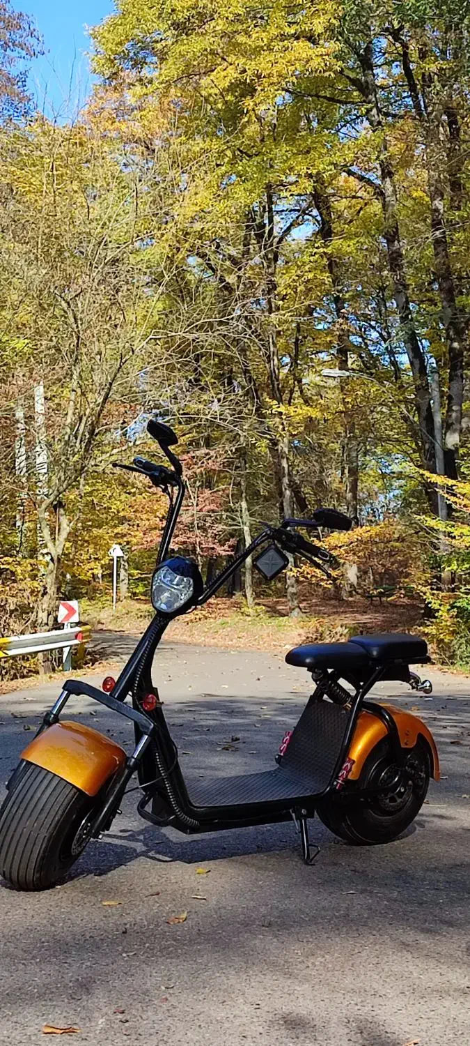 اسکوتر برقی آلمانی|دوچرخه، اسکیت، اسکوتر|گرگان, |دیوار