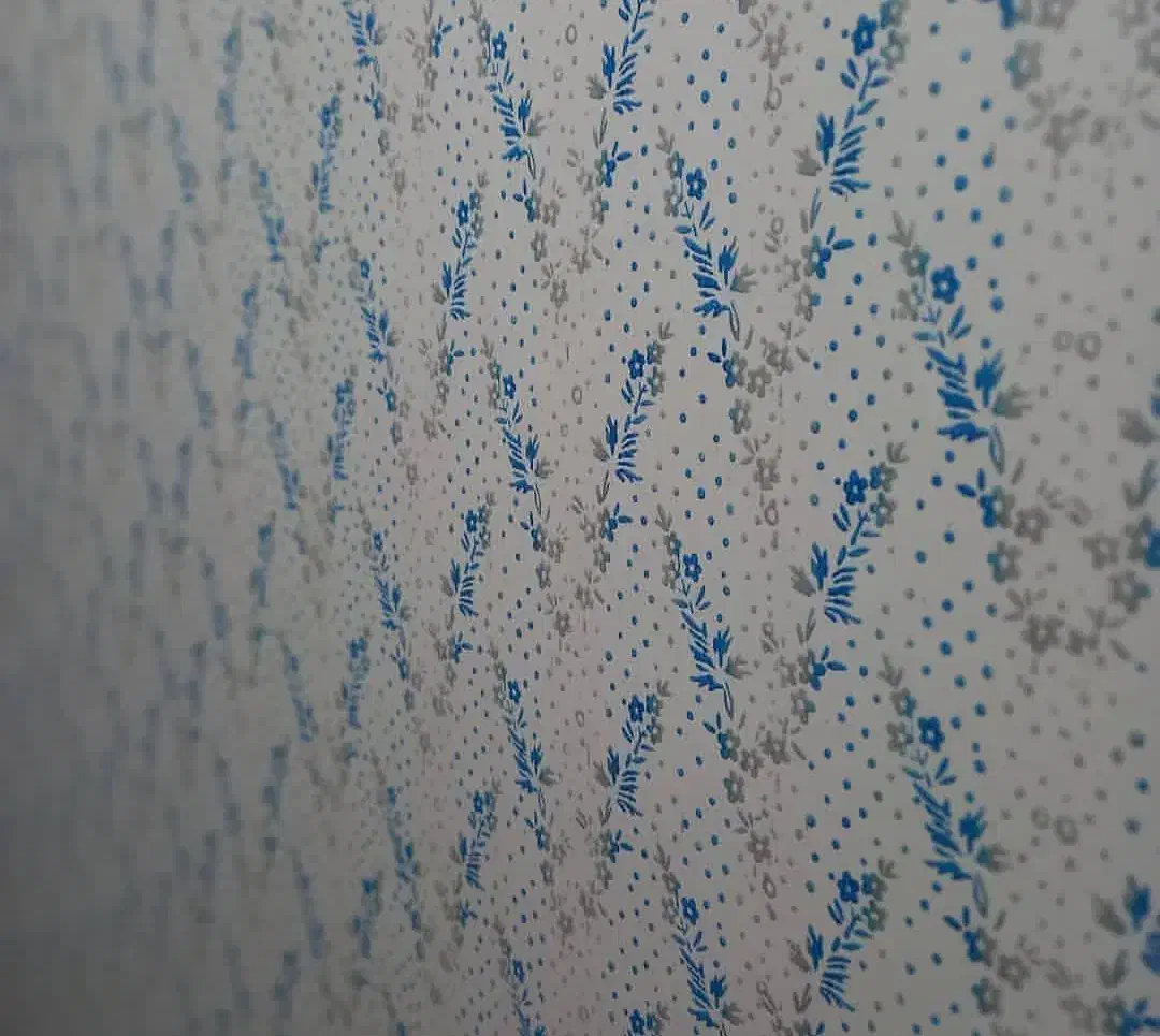 زیباسازی منزل طرح و رنگ|خدمات پیشه و مهارت|لنگرود, |دیوار