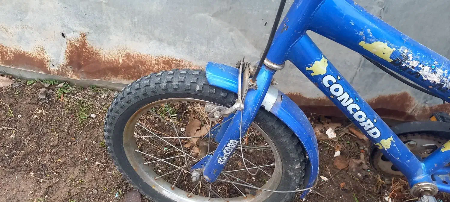 دوچرخه ۱۶|اسباب‌بازی بچه|مراغه, |دیوار