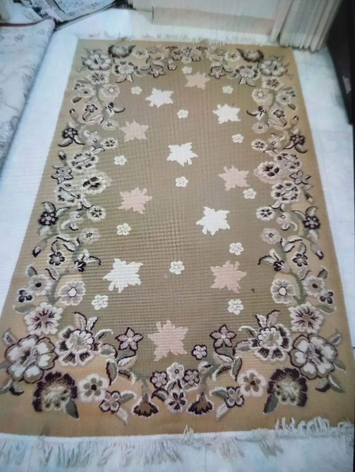 قالیچه|فرش|شیراز, تندگویان|دیوار