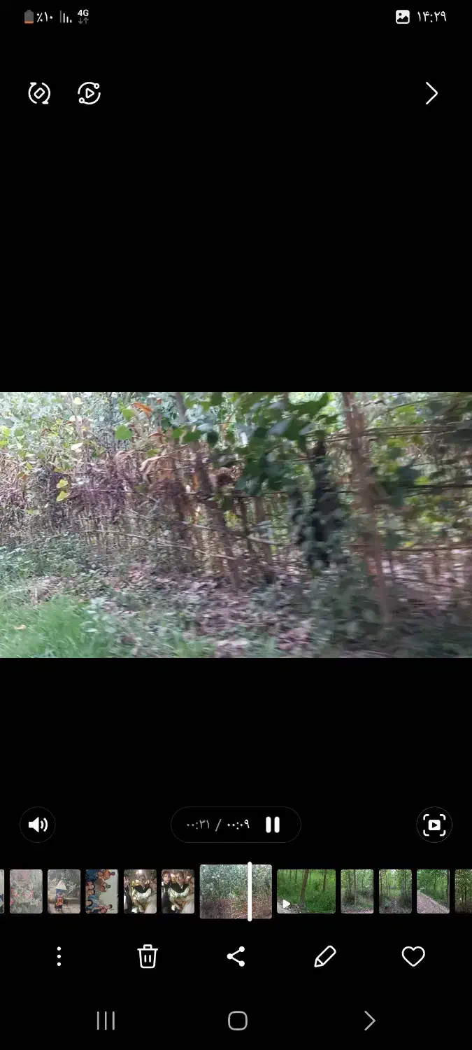 زمین باغی|فروش زمین و ملک کلنگی|رودبنه, |دیوار