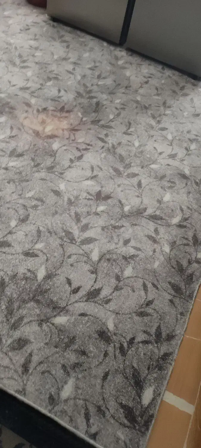 پالاز موکت جنس خوب|موکت|کرمانشاه, |دیوار