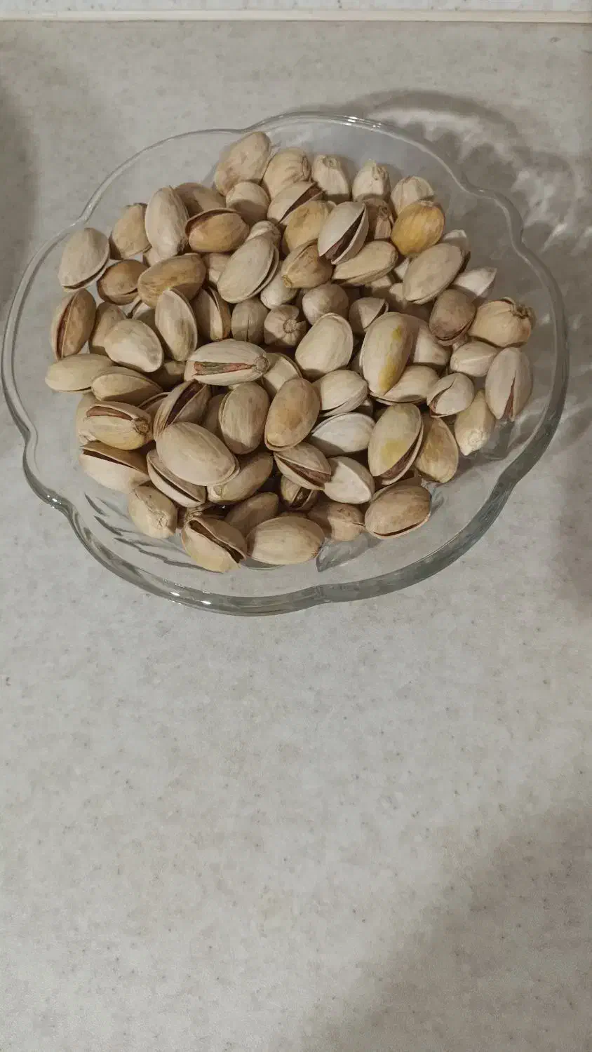 پسته اکبری امسالی|خوردنی و آشامیدنی|میمه, |دیوار