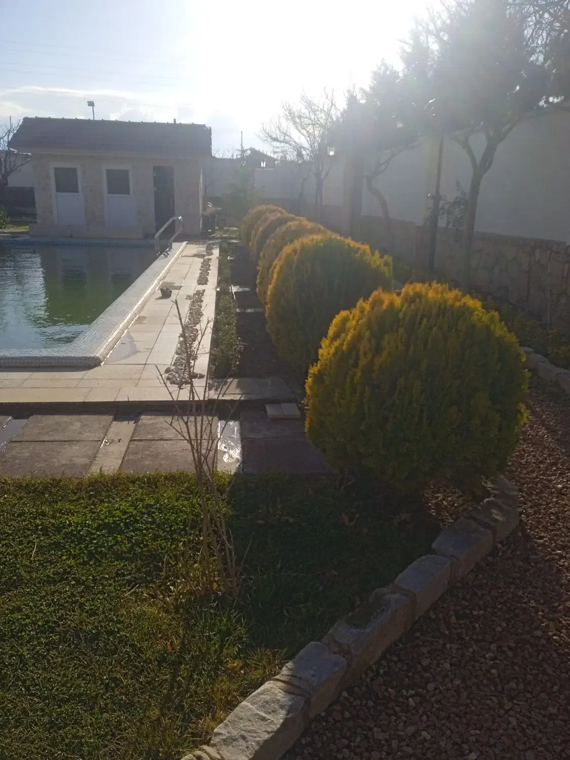 هرس درختهای میوه غیر میوه درختچهای|خدمات باغبانی و درختکاری|گلبهار, شهر جدید گلبهار|دیوار