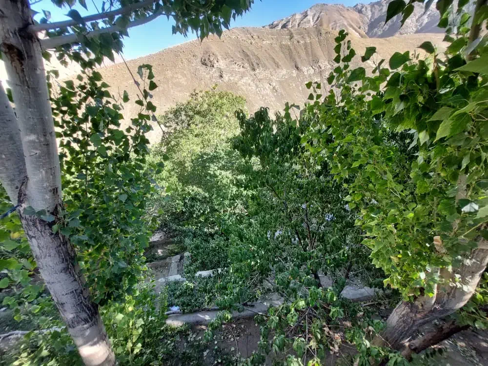 باغچه ۴۱۰ متری ۲۵دقیقه ای تهران دارای بنا|فروش دفتر صنعتی، کشاورزی، تجاری|تهران, دهکده المپیک|دیوار