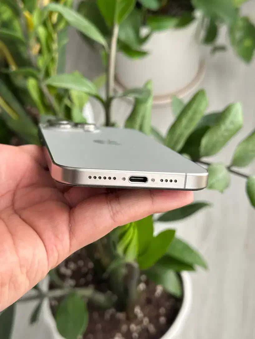 ایفون ۱۵ پرومکس|موبایل|گرگان, |دیوار