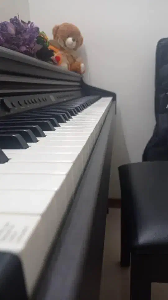 پیانو|پیانو، کیبورد، آکاردئون|زنجان, |دیوار