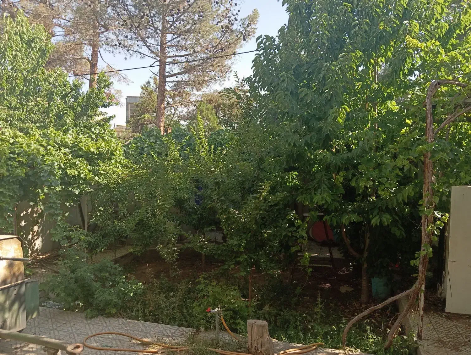 فروش خانه کلنگی، ۳۰۰ متر، شهرک انقلاب|فروش زمین و ملک کلنگی|شاهرود, |دیوار