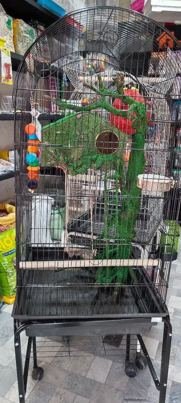 قفس کارشده جنگلی بهشت قفس ملنگو طوطی عروس|لوازم جانبی حیوانات|گلستان (تهران), |دیوار