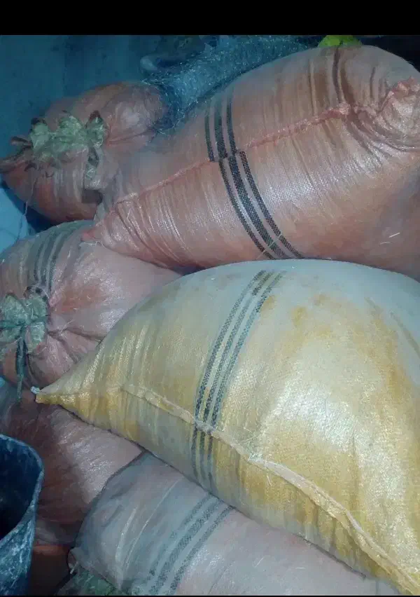 کاه گندم|حیوانات مزرعه|شیراز, کرونی(خاتونک)|دیوار