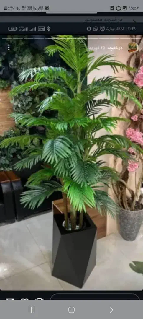 آلو کازیا درخچه|گل مصنوعی|تهران, مشیریه|دیوار