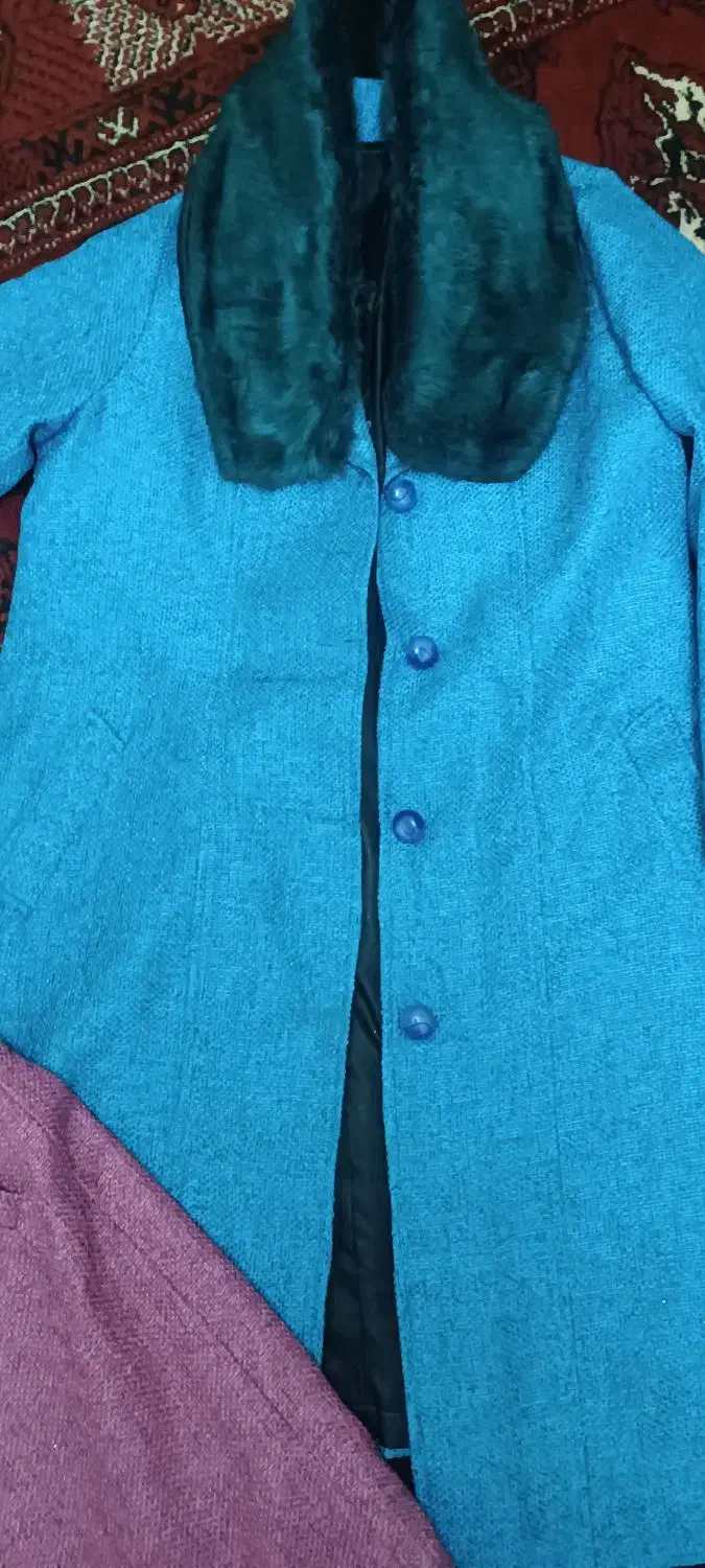 پالتو|لباس|بجنورد, |دیوار