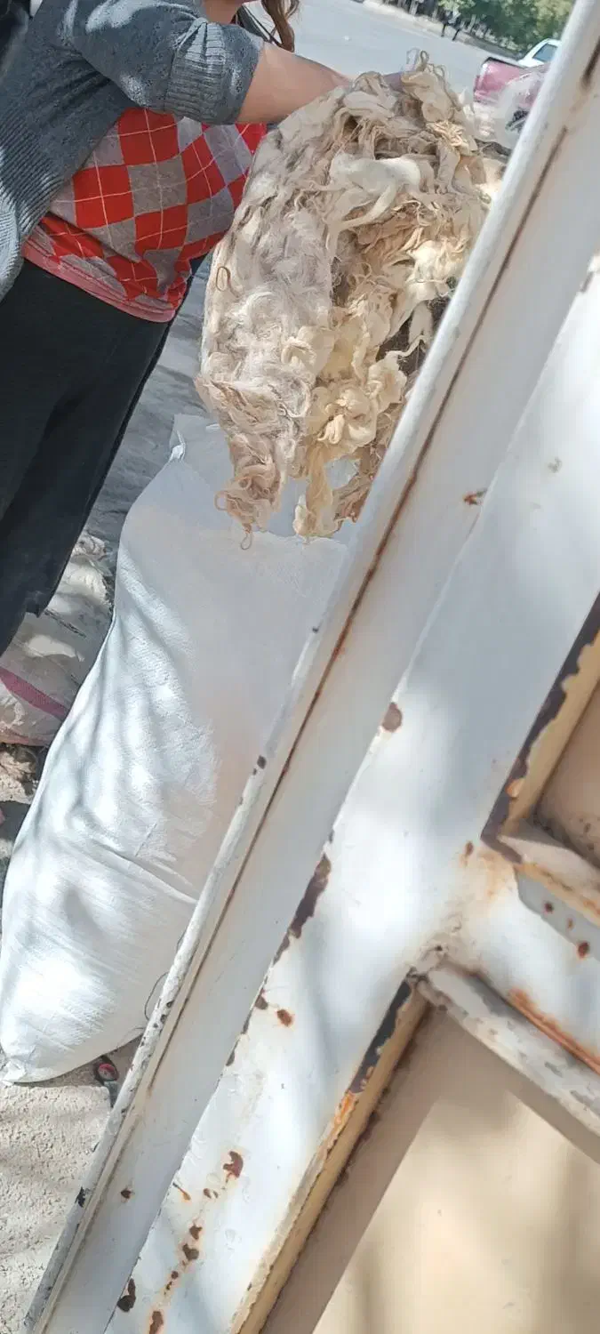 پشم گوسفند|رختخواب، بالش، پتو|شیراز, کوشک میدان|دیوار