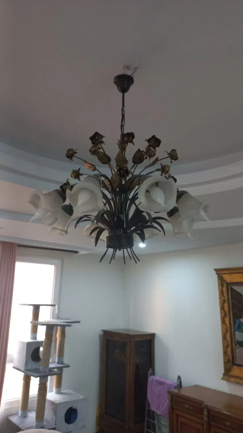 دو عدد لوستر ۵ و۸ شعله|لوستر و چراغ آویز|تهران, سازمان آب|دیوار