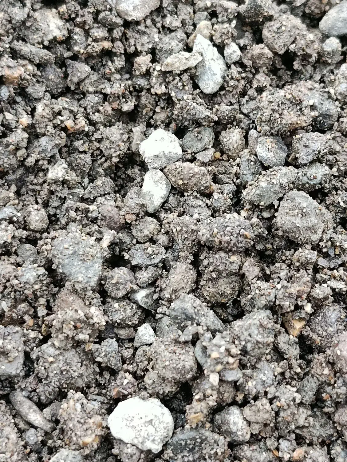 ماسه   مخصوص کیوی|خدمات باغبانی و درختکاری|چوبر, |دیوار