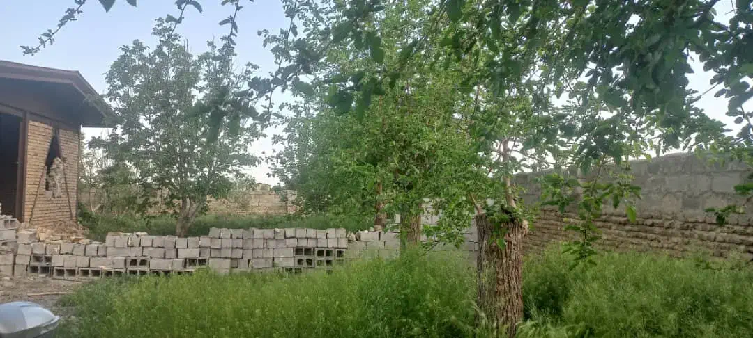 اجاره حیاط ۱۲۰۰ متری جهت دامداری یا کارگاه|اجارهٔ خانه و ویلا|بروجرد, |دیوار