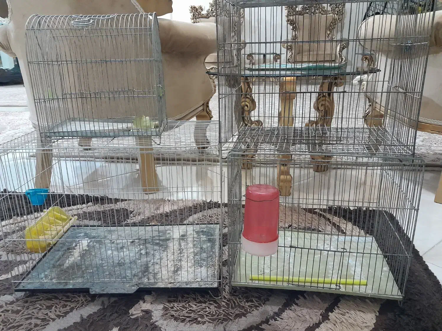 قفس پرنده قناری وسره|لوازم جانبی حیوانات|ملایر, |دیوار