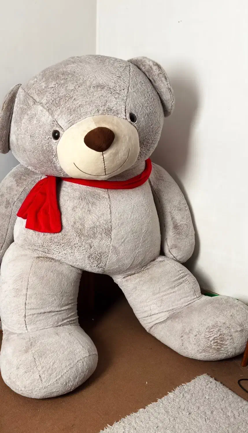 عروسک خرس|اسباببازی|صدرا-فارس, فاز ۱|دیوار