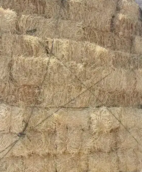 پخل گندم دست اول درجه یک|حیوانات مزرعه|نصر آباد, |دیوار