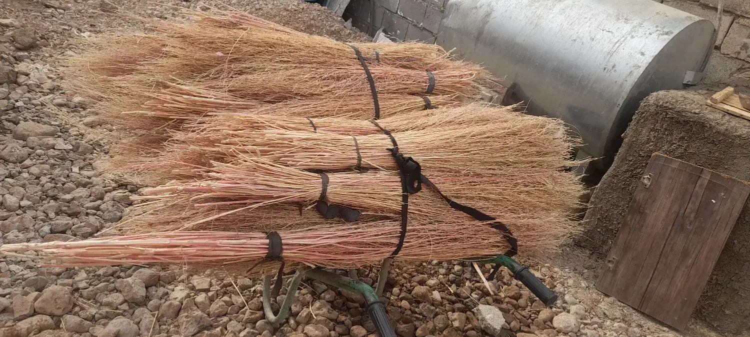 ۱۰۰ دسته جارو هست|لوازم نظافت|شیروان (لرستان), |دیوار