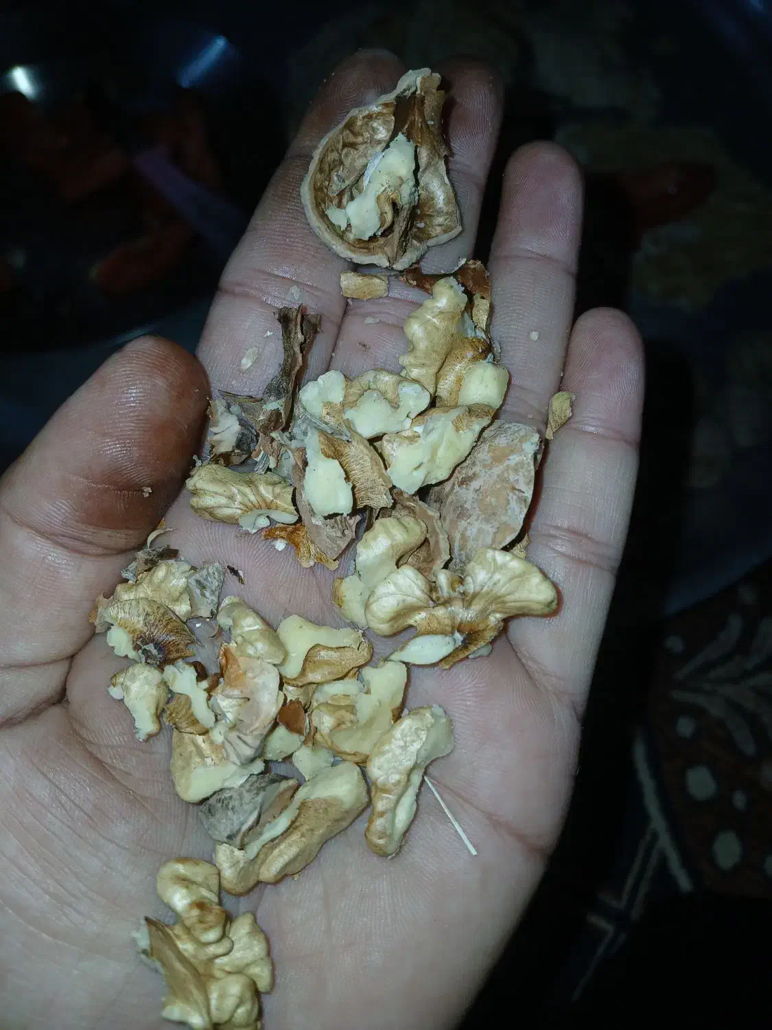 گردو|خوردنی و آشامیدنی|اهواز, کوی طلاب|دیوار