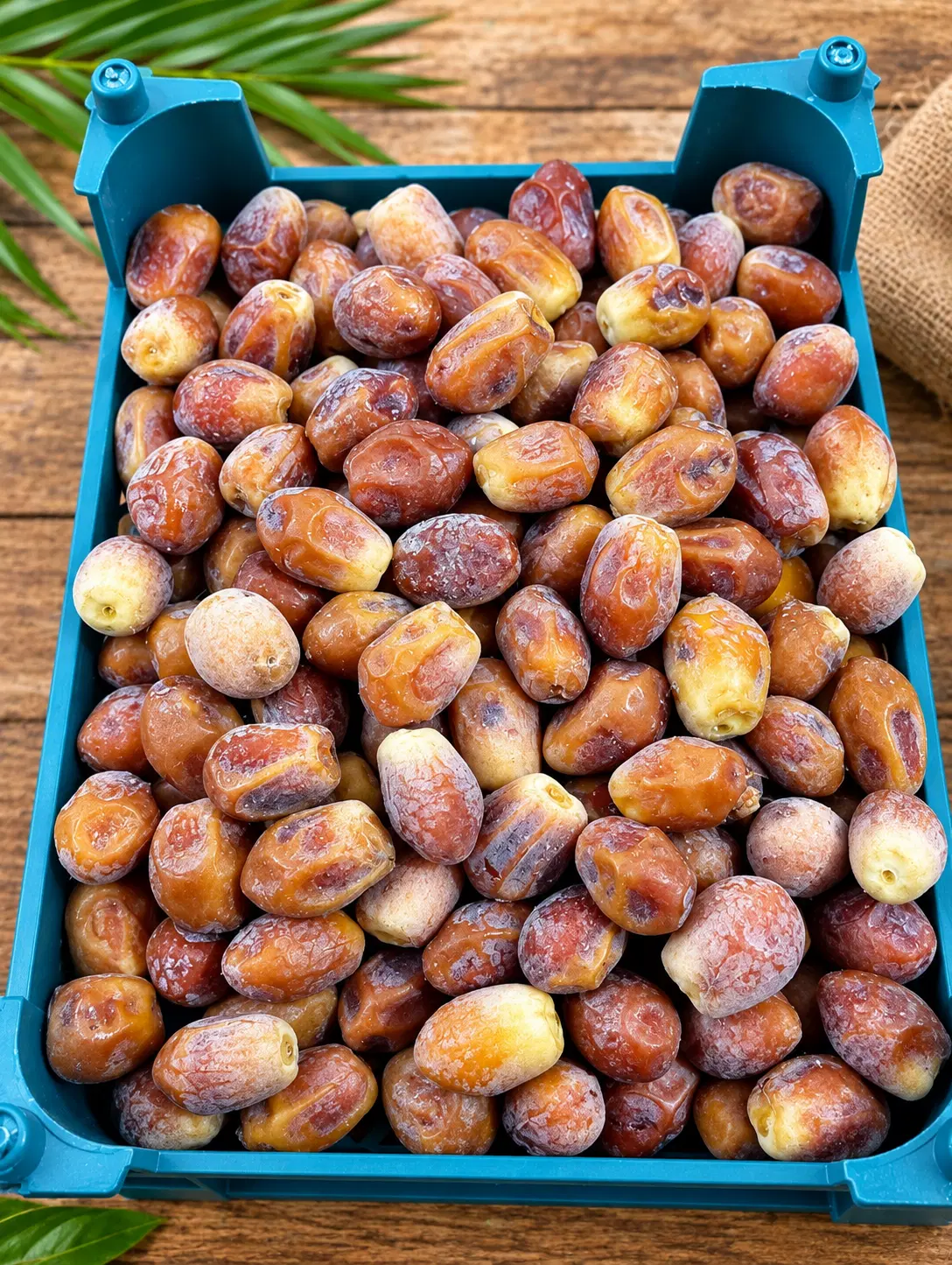 قصب|خوردنی و آشامیدنی|برازجان, |دیوار