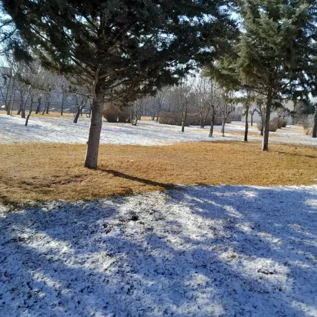 پنجشنبه ها چیکار کنیم خوشحال بشیم|فعالیت داوطلبانه|اردبیل, |دیوار