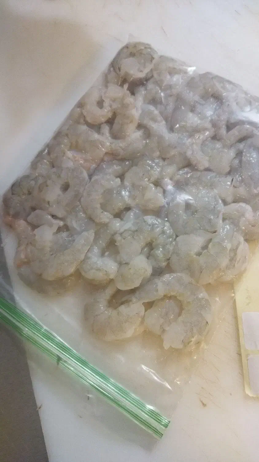 انواع ماهی و میگو جنوب بندرعباس|ماهی|خاوران, |دیوار