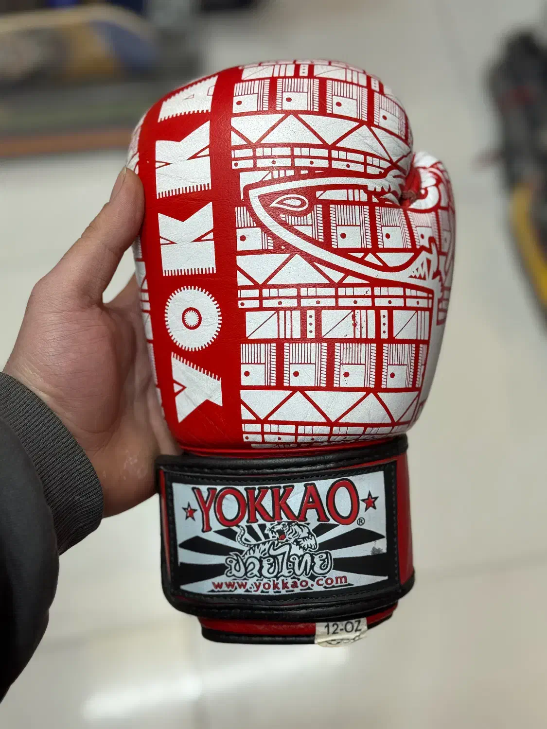 دستکش بوکس و روپا|تجهیزات ورزشی|تهران, امیریه|دیوار