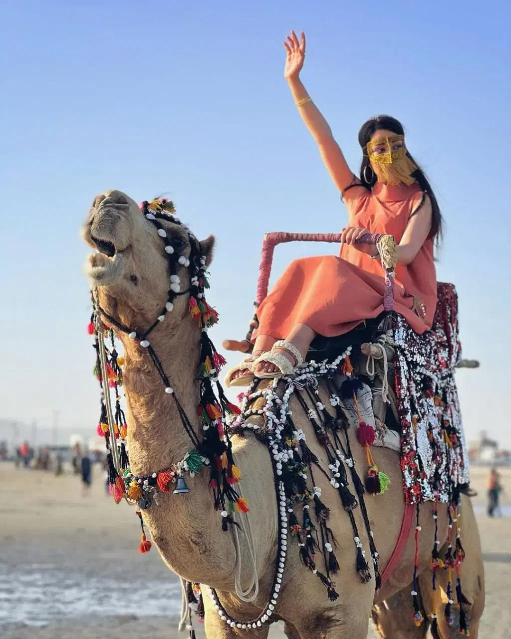 تور اقتصادی جزیره قشم|تور و چارتر|قشم, |دیوار