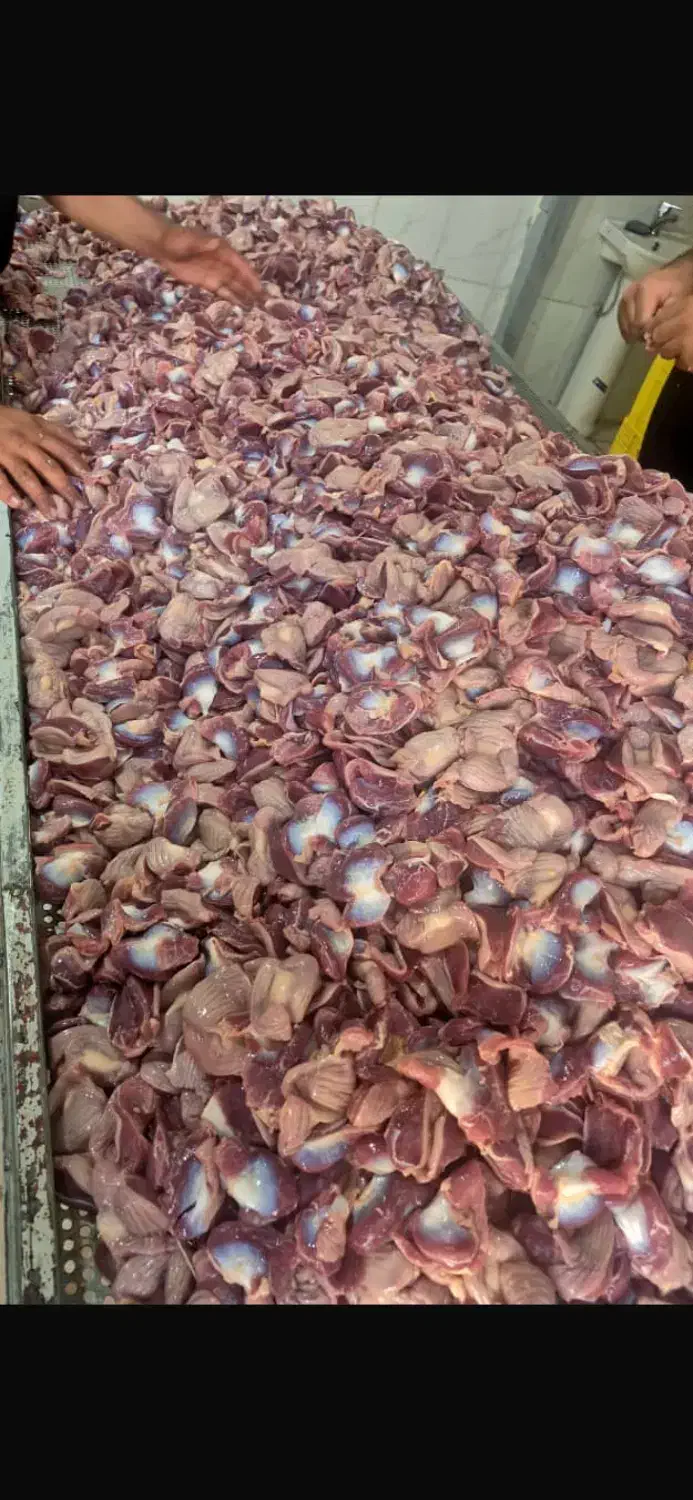 سنگدان سرخ و درشت|خوردنی و آشامیدنی|تهران, علم و صنعت|دیوار