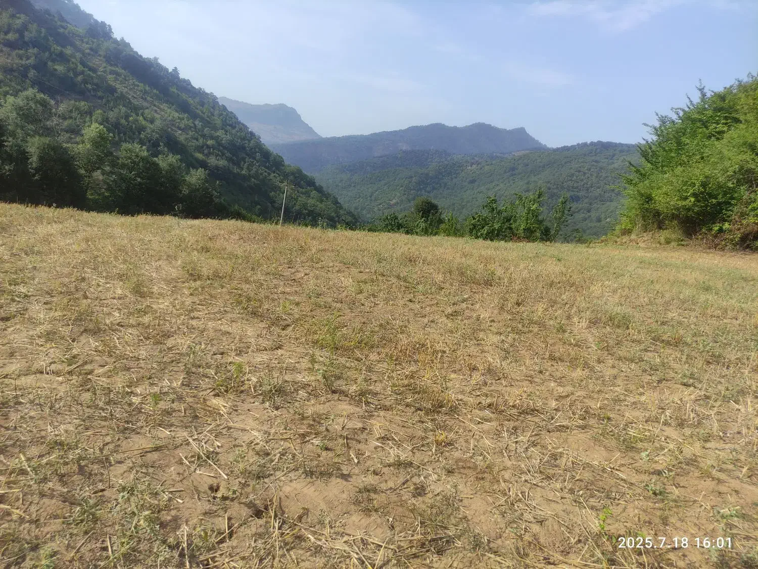 فروش زمین باغی در ریگ چشمه|فروش زمین و ملک کلنگی|مینودشت, |دیوار