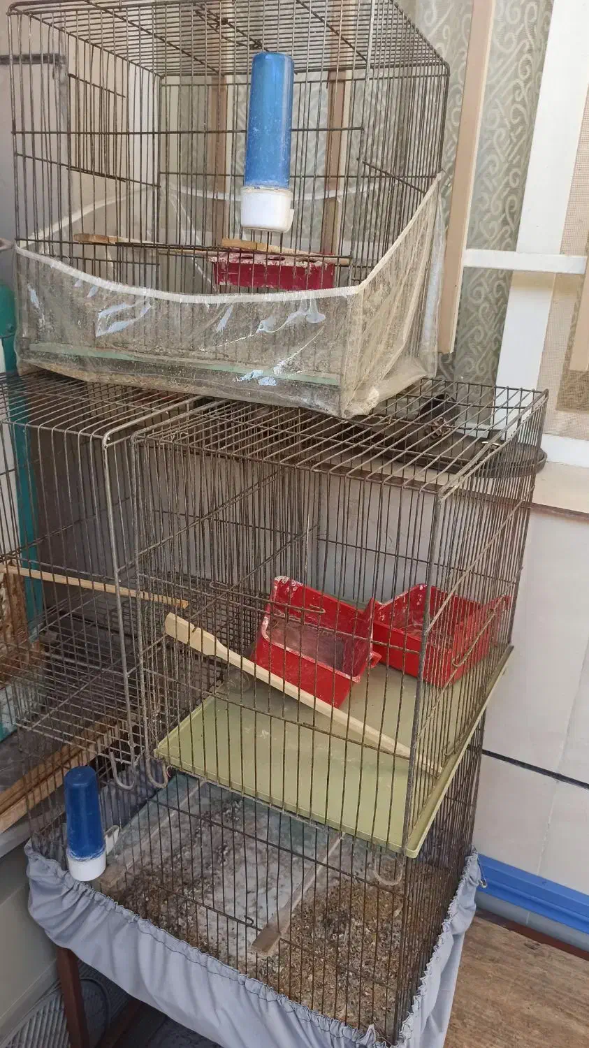 قفس پرنده|لوازم جانبی حیوانات|میانه, |دیوار