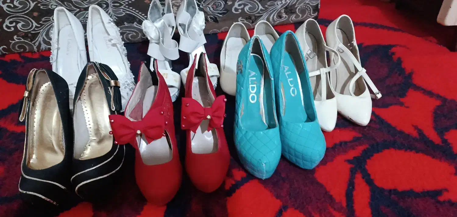 کفش زنانه|کیف، کفش، کمربند|مرودشت, رودبال|دیوار