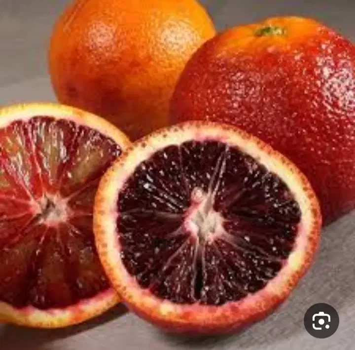 خونی درجه یک|عمده‌فروشی|پارس‌آباد, |دیوار