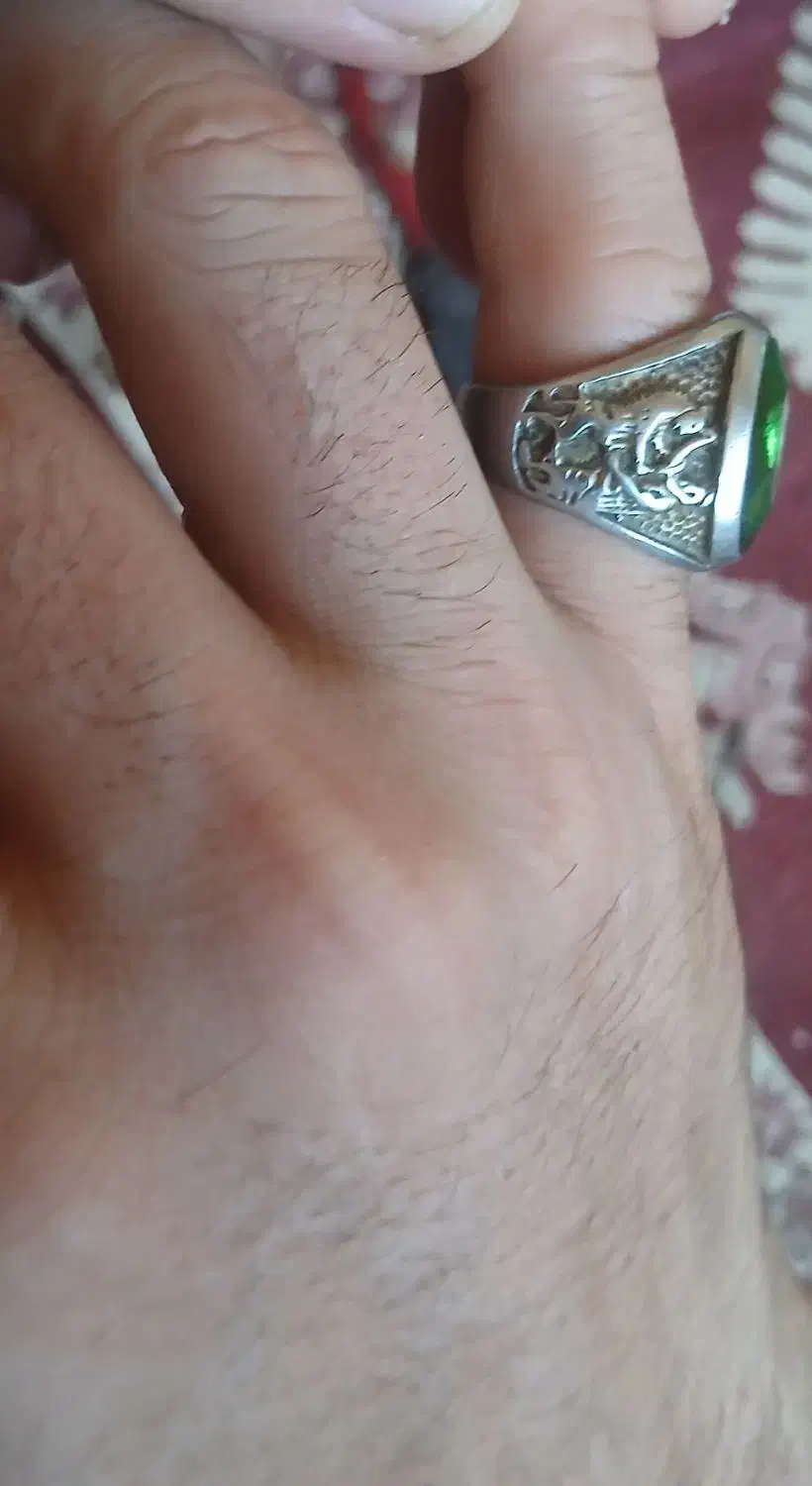 3عدد انگشتر نقره  فیروزه  شیر نشان خیلی شیک مردانه|جواهرات|قوچان, |دیوار