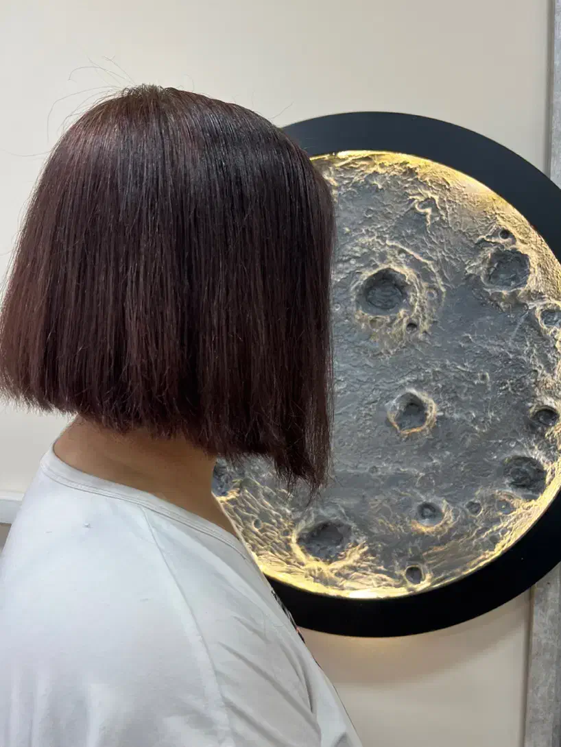 خدمات آموزشی|خدمات آموزشی|بجنورد, |دیوار