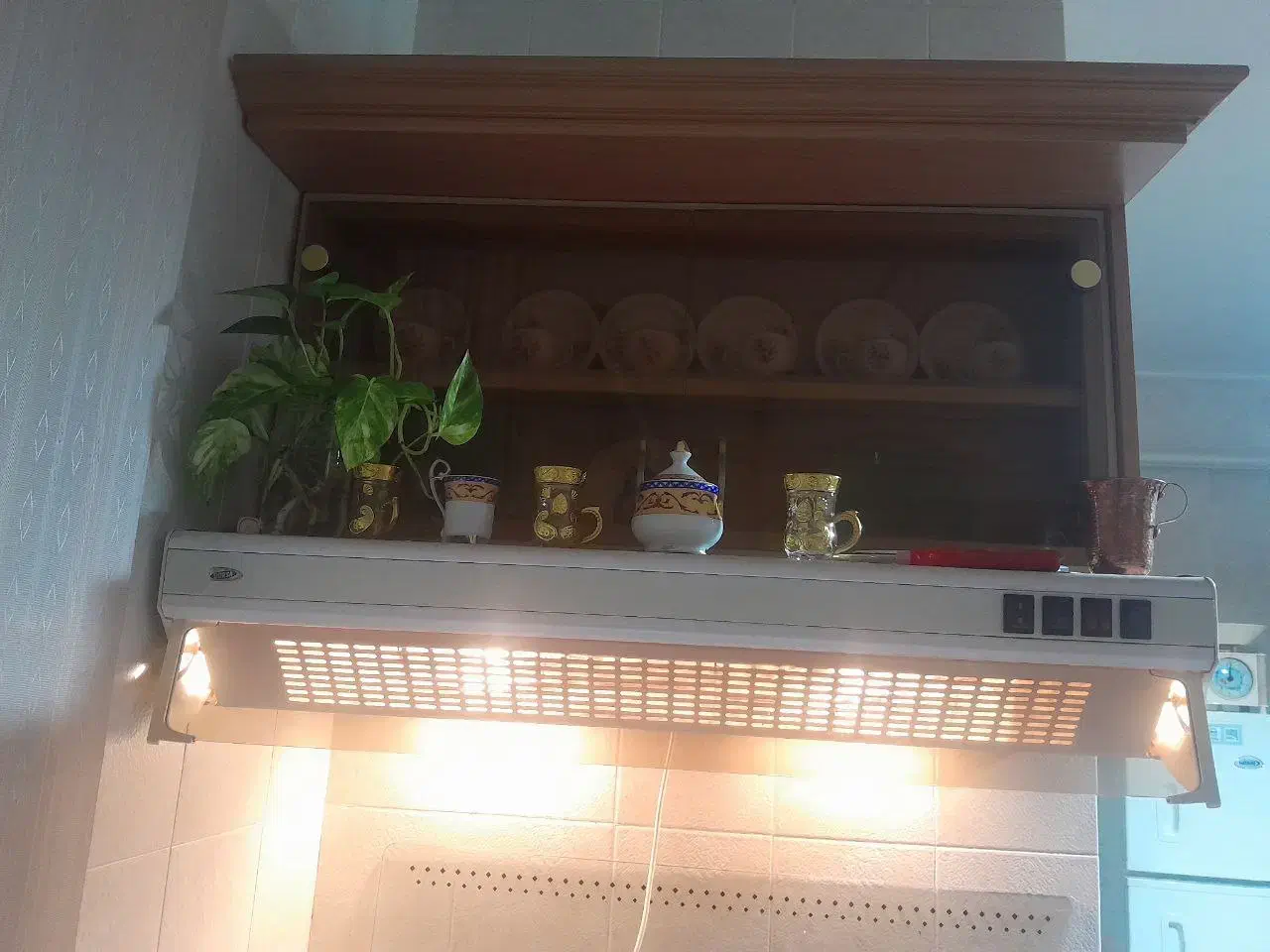 هود سالم و تمیز|هود|کاشمر, |دیوار