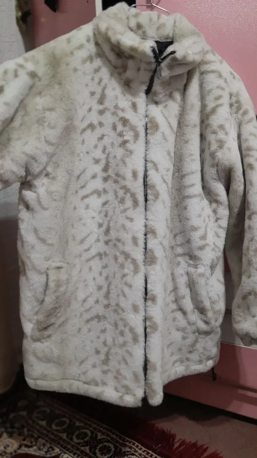 پالتو تدی|لباس|سقز, |دیوار