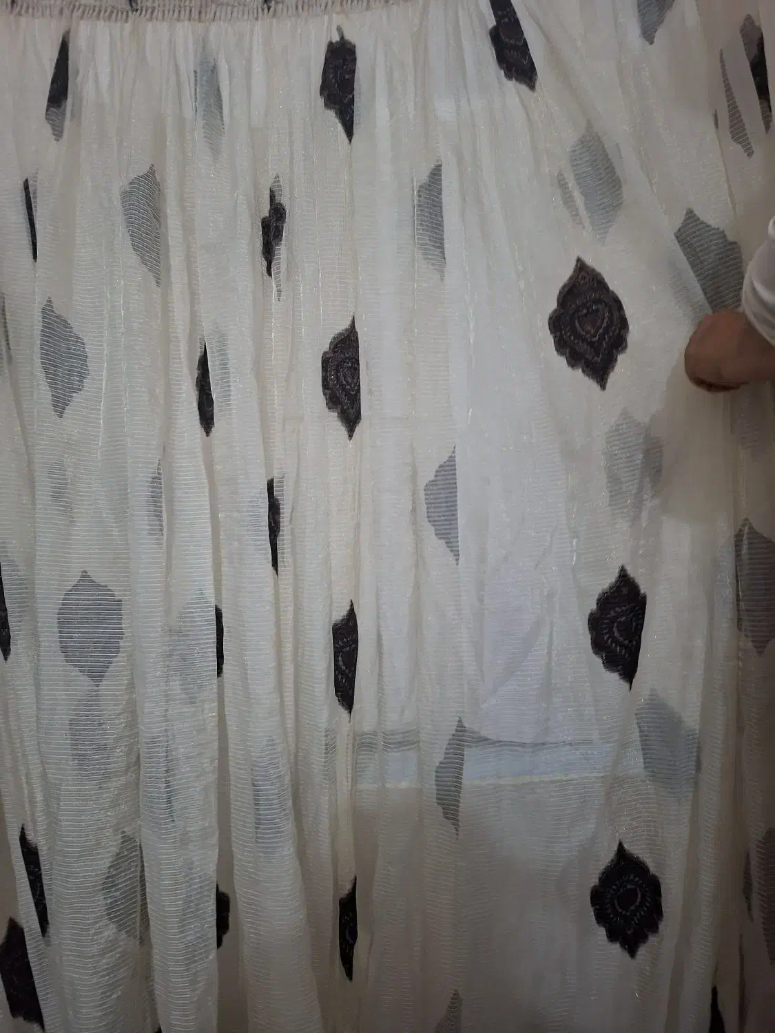 پرده در حد نو|پرده، رانر، رومیزی|اردبیل, |دیوار