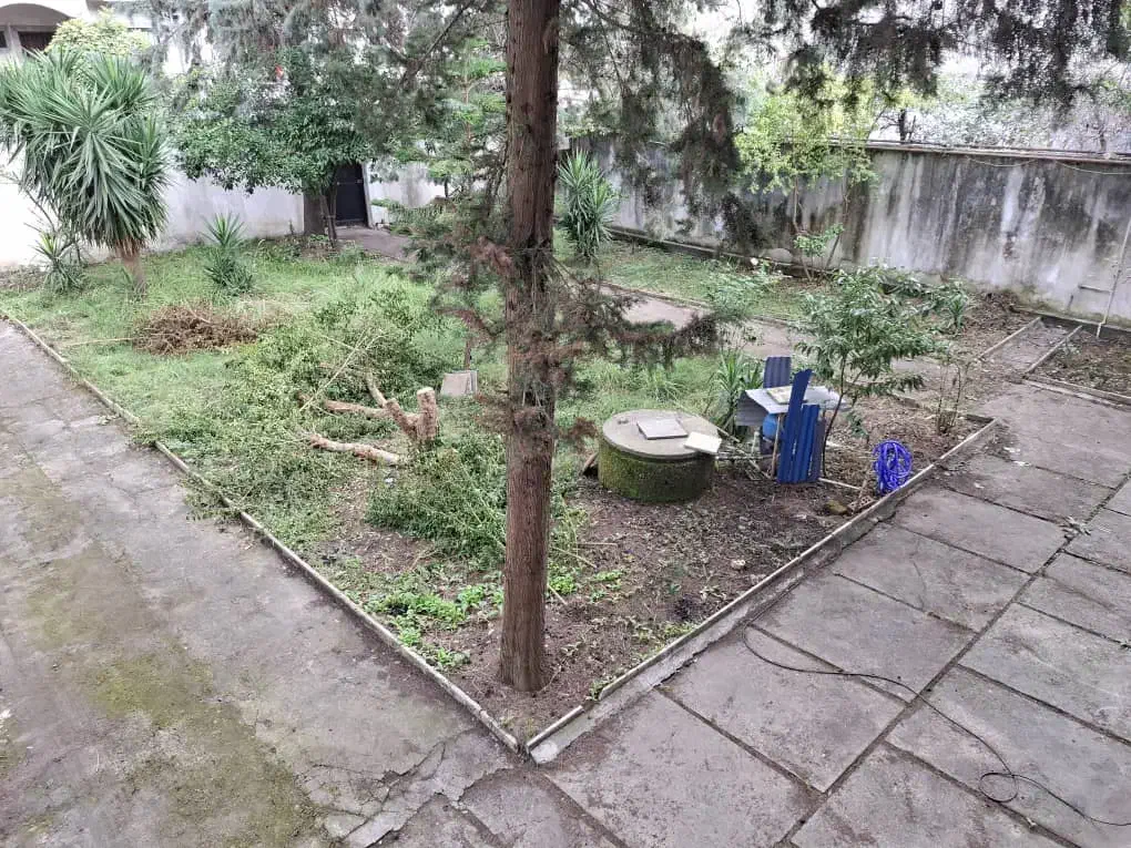 اجاره خانه ویلایی واقع در خیابان نیما|اجارهٔ خانه و ویلا|لاهیجان, رجایی|دیوار