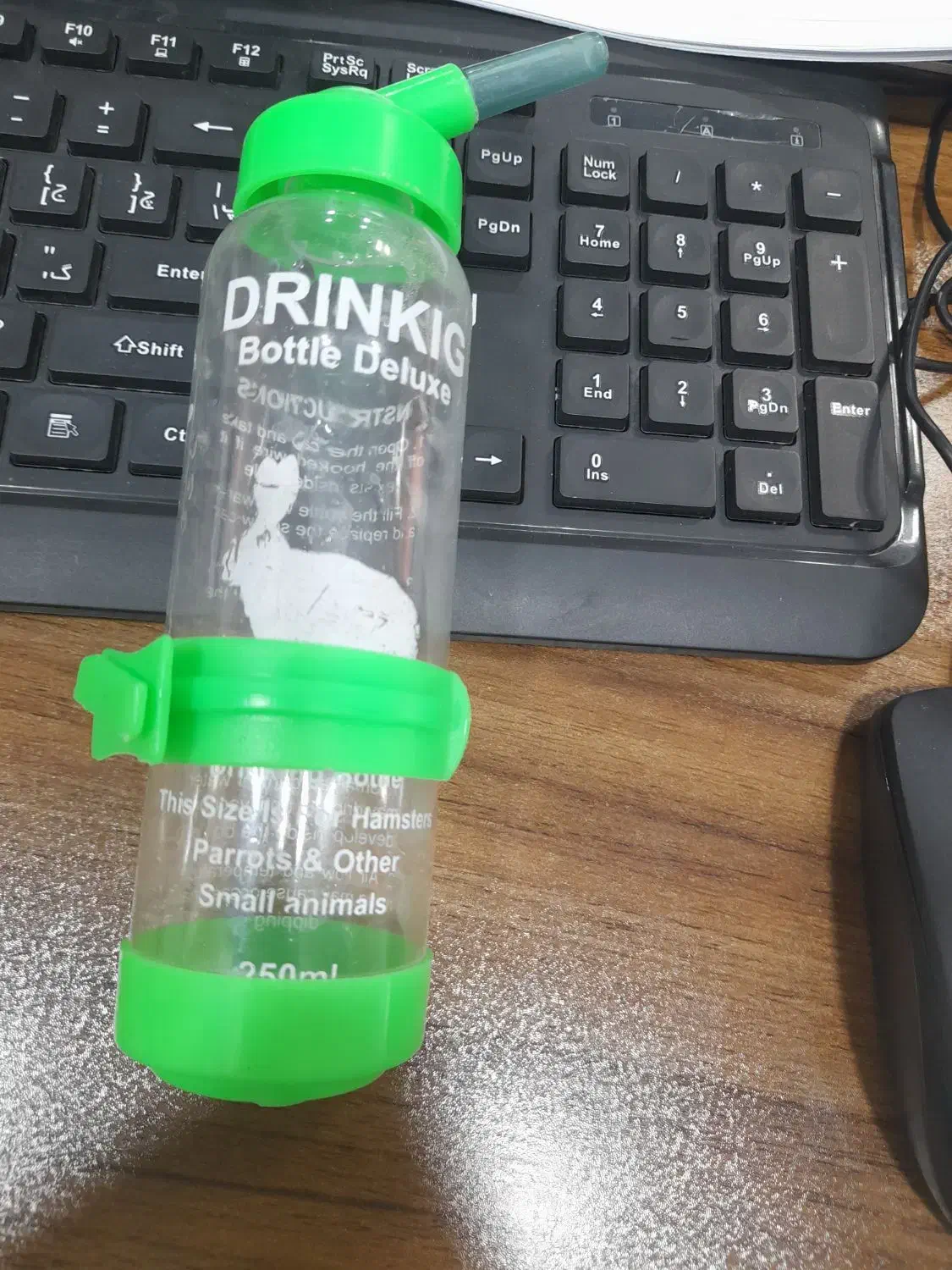 آبخوری پرندگان و همستر|لوازم جانبی حیوانات|ساوه, |دیوار