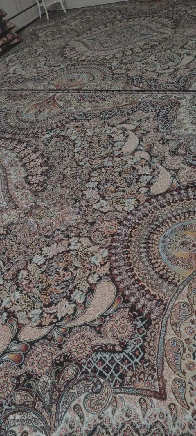 قالی 12متری|فرش|شوش, |دیوار