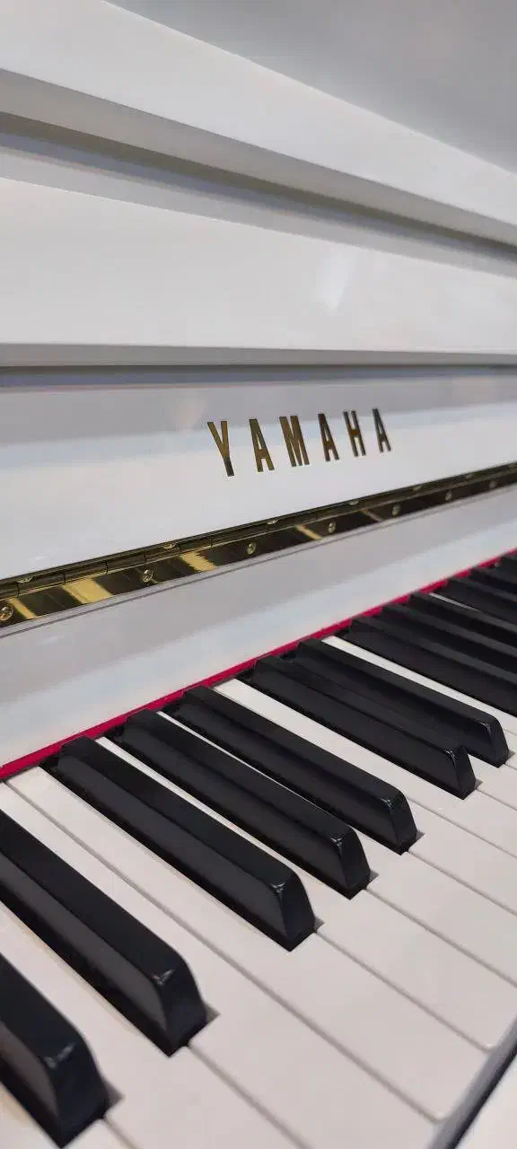 پیانو پرتابل p225 white|پیانو، کیبورد، آکاردئون|ارومیه, |دیوار