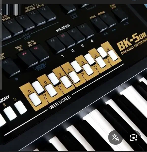 ROLAND BK5 ORIENTAL|پیانو، کیبورد، آکاردئون|بندرعباس, |دیوار