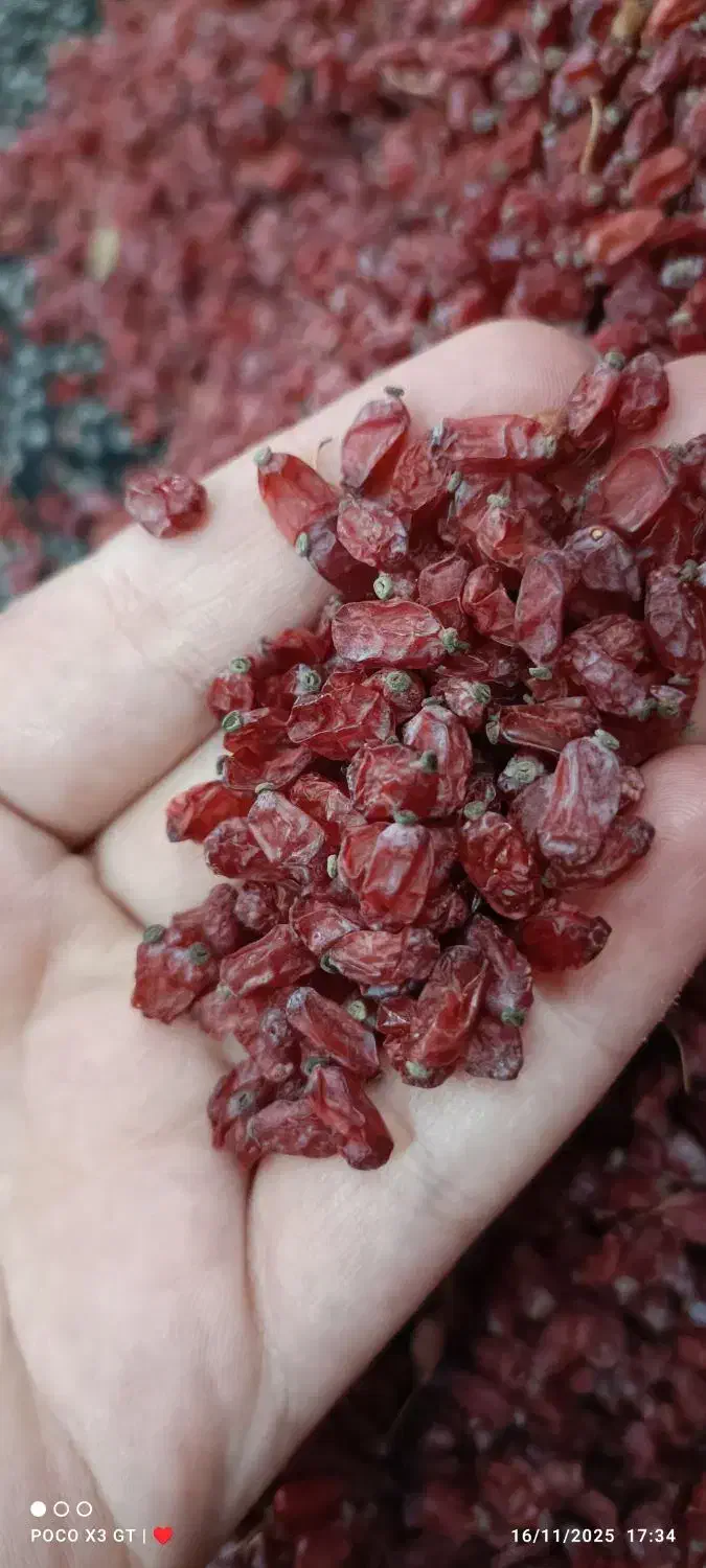 زرشک|خوردنی و آشامیدنی|مشهد, شهید شهریاری|دیوار