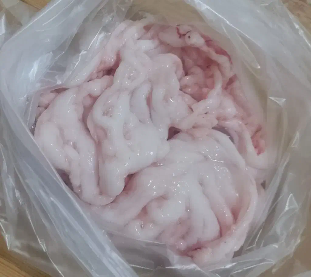 پی بزغاله و پوست بزغاله برای مشک|خوردنی و آشامیدنی|تربت‌حیدریه, شهرک ولیعصر|دیوار