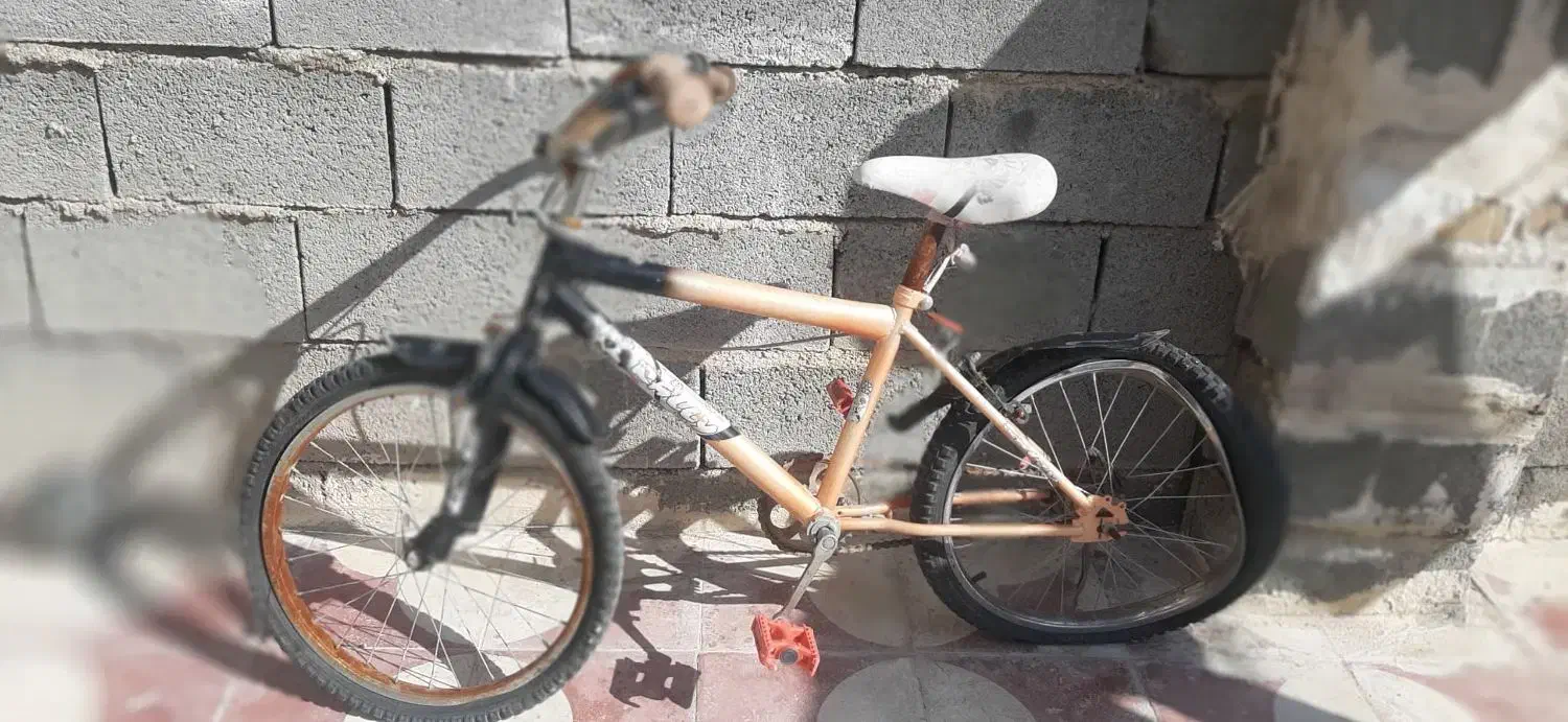 دوچرخه|دوچرخه، اسکیت، اسکوتر|شیراز, بید زرد|دیوار